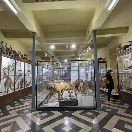 Le Grand Dieu By Sowell Collection Hotel Nimes